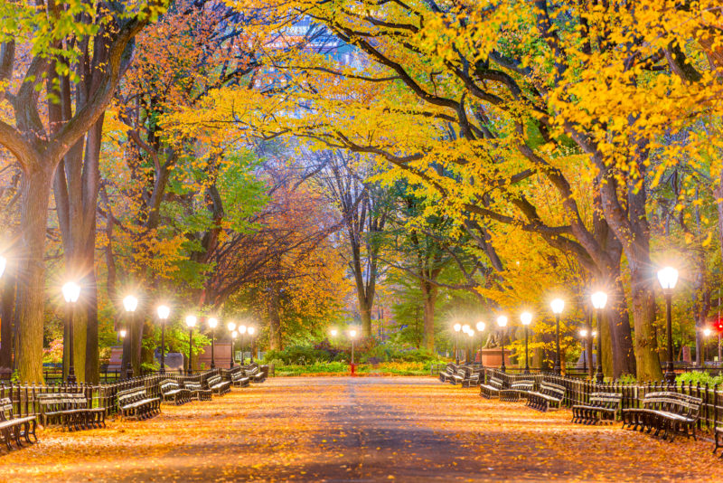 Central Park New York City Autumn | Midtown West Luxury Rentals | 555TEN